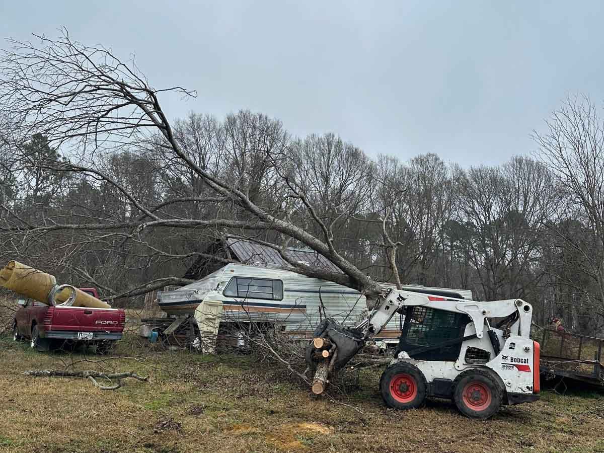 El Costeño Tree Service LLC